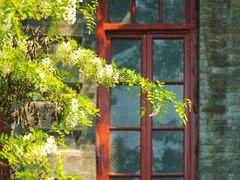 -莲池书院博物馆