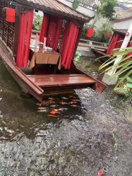 点击看大图 -特味村·宴会厅(生态园店)