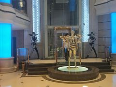 -313羊庄鲜羊火锅·鲜羊肉烧烤(李村店)