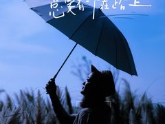 -贡湖湾湿地公园