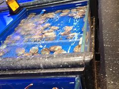 -万宝海鲜舫(劳动公园店)