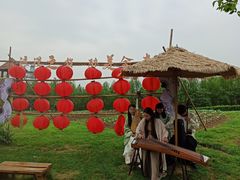 -金卉庄园
