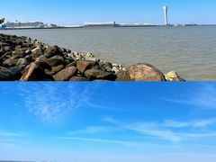 -上海吴淞炮台湾国家湿地公园