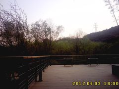 远山近湖-西湖风景区-江洋畈生态公园