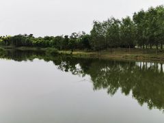 -东郊湿地公园