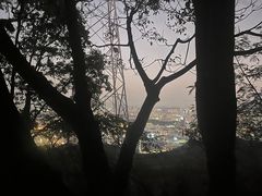 -阳台山森林公园