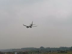 -空港花田景区