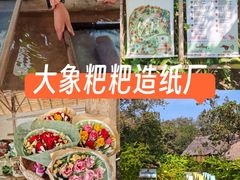 -大象粑粑造纸公园