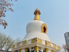 -护国法轮寺