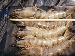 -熊出没日本烧肉放题