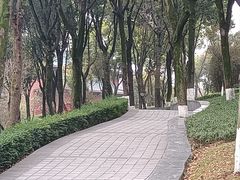 -重庆市江北嘴中央商务区中央公园