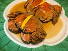 -老吉堂上海本帮菜(工体店)