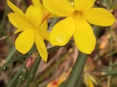 -大海碗·京菜炸酱面(雍和宫店)