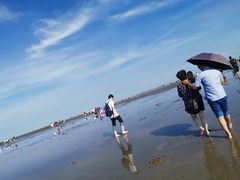 -南汇嘴观海公园