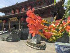 -南京市江宁方山