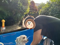 -汪说喵讲宠物乐园宠物酒店(红星美凯龙店)