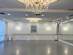 -芭蕾仙子 FairyBallet 少儿芭蕾舞蹈中心(丽都旗舰店)