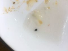 -小海丁