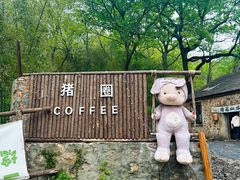 -南京老山国家森林公园