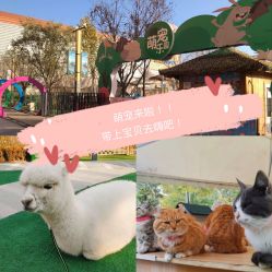 -萌宠亲子动物乐园(槐房万达店)
