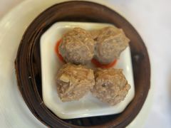 -柳饮·春柳酒家