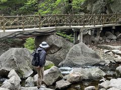 -洛阳白云山景区