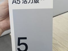 -OPPO体验店(沈阳铁西万象汇店（国补）)