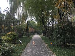 -唐城墙遗址公园