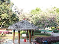 -天河儿童公园