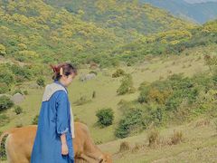 -大姆山草场