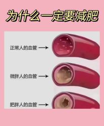 -Fundi张玉珊修身堂·indiba·BTL科技瘦身