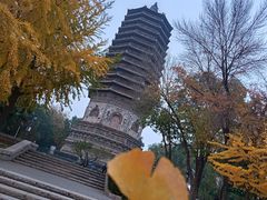 -玲珑塔公园