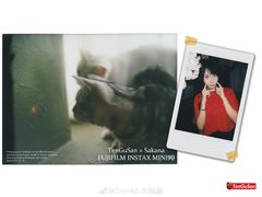 -猫猫幼稚园·撸猫·桌游·电玩