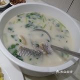 鱼生界的绝绝子