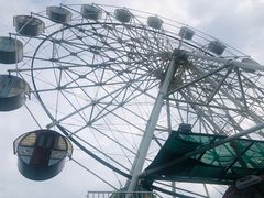 -广东花都香草世界旅游度假区