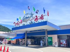 -海鮮寿司とれとれ市場