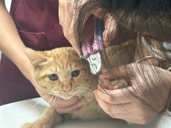 -中农大我爱我爱动物医院·核磁CT·猫病·24小时夜诊中心(石佛营店)