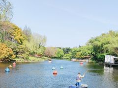 -上海共青森林公园