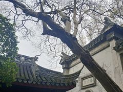 -东山雕花楼