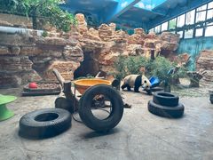 -石家庄市动物园