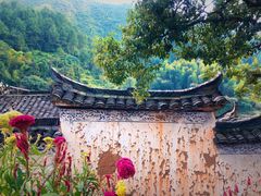 -杨家堂村
