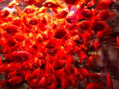 -波塞冬旅游度假区