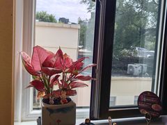 -伊斯麦尔丝路·新派菜(沙子口店)