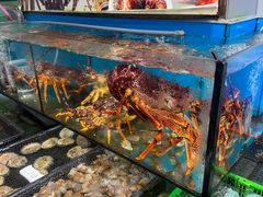 -广东名门