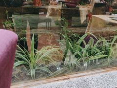 -大水车公馆·顺德菜·妈姐菜(均安店)