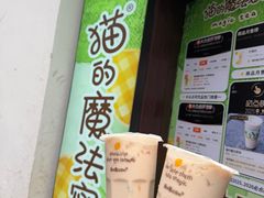 -猫的魔法密林(衣裳街店)
