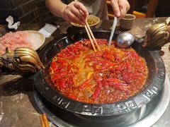 -渝大狮毛肚老火锅(遂宁万达店)