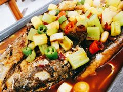 -沈胖子音乐烤吧·炒菜·龙虾(环城东路店)