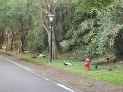 -福建鲤鱼洲酒店