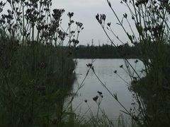 -白鹭湾湿地公园